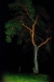 imgp3385.jpg