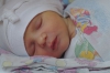 imgp0867.jpg