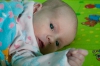 imgp1024.jpg