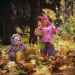 v100_rollei_02.jpg