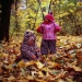 v100_rollei_03.jpg