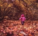 v100_rollei_07.jpg
