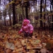v100_rollei_10.jpg