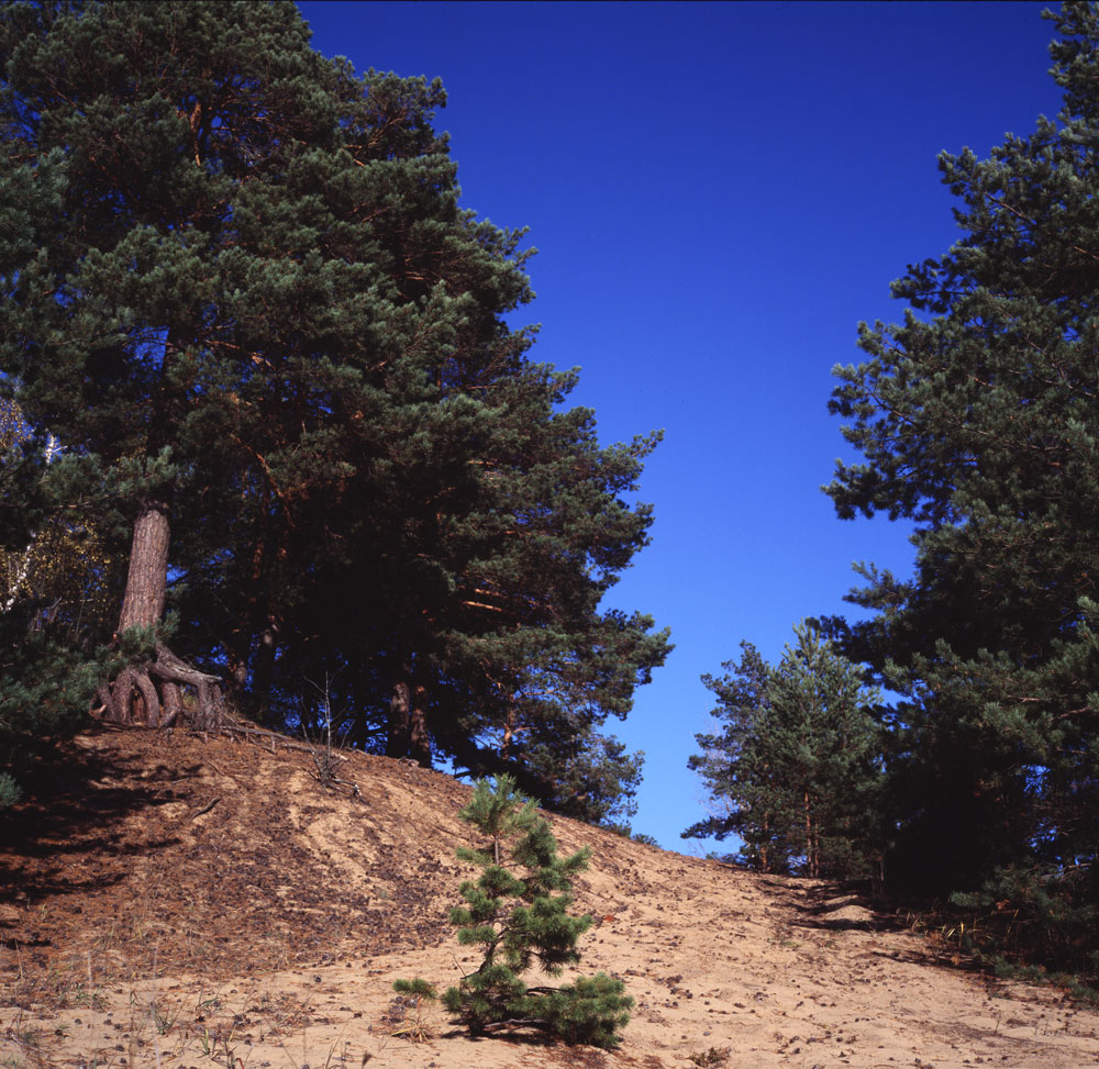 e100g_rollei_002.jpg