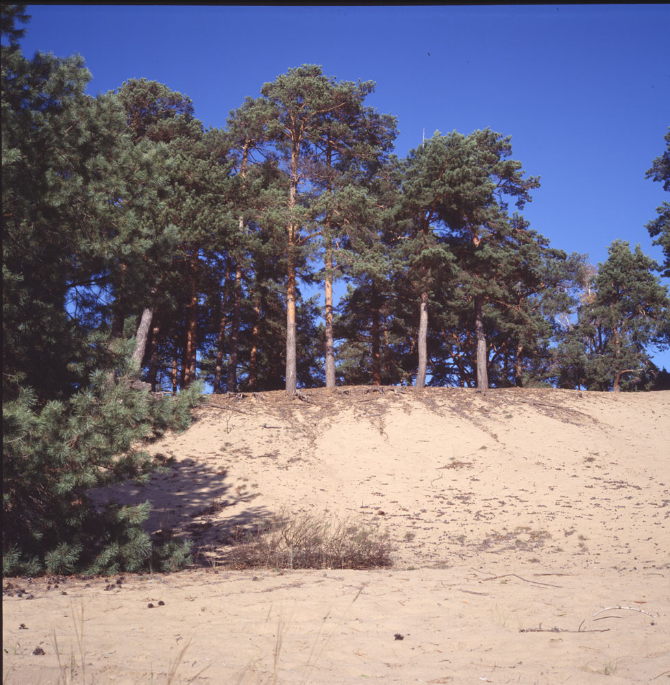 e100g_rollei_004.jpg