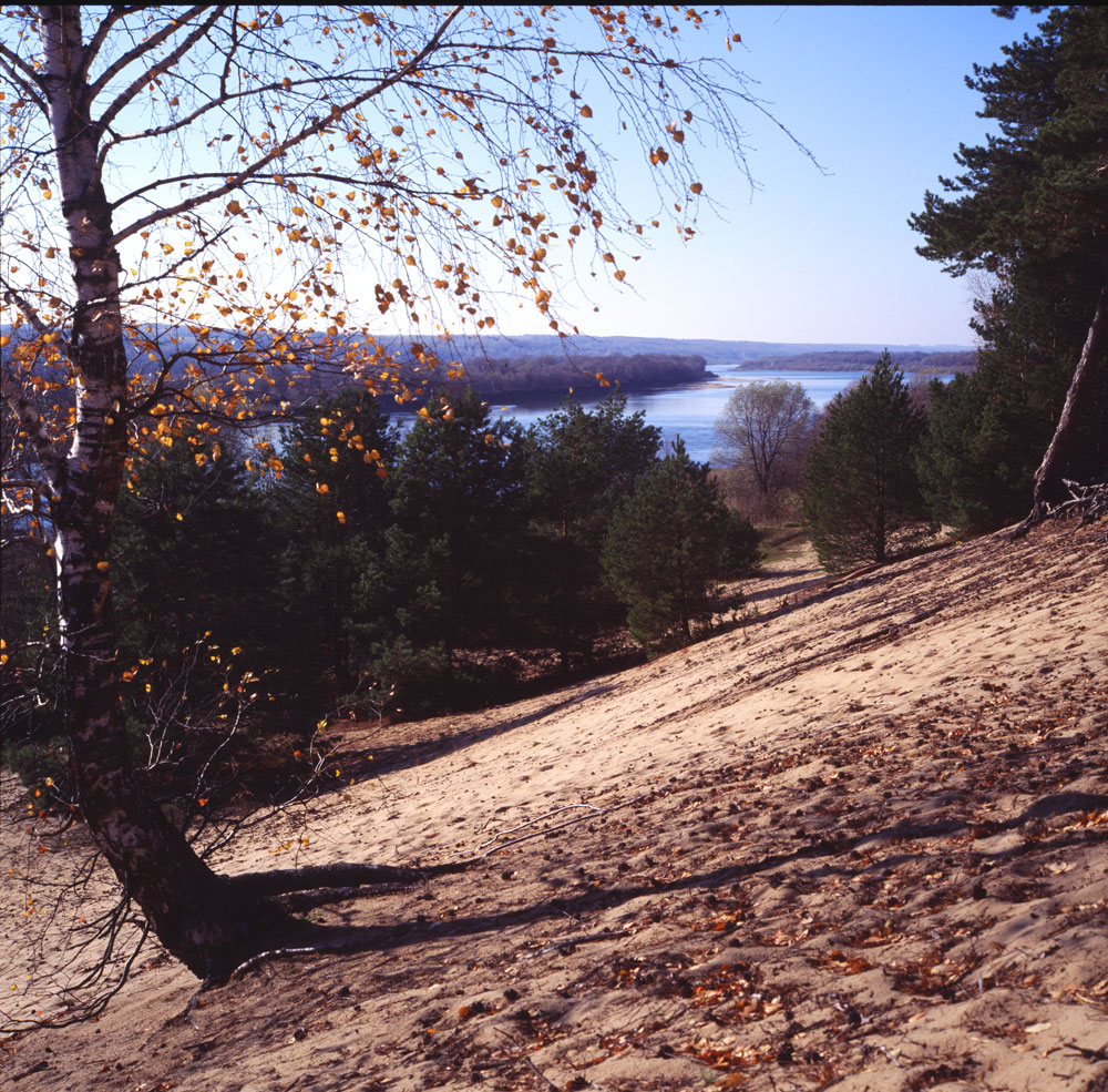 e100g_rollei_005.jpg