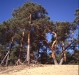 e100g_rollei_008.jpg