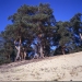 e100g_rollei_009.jpg