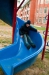 imgp3216.jpg